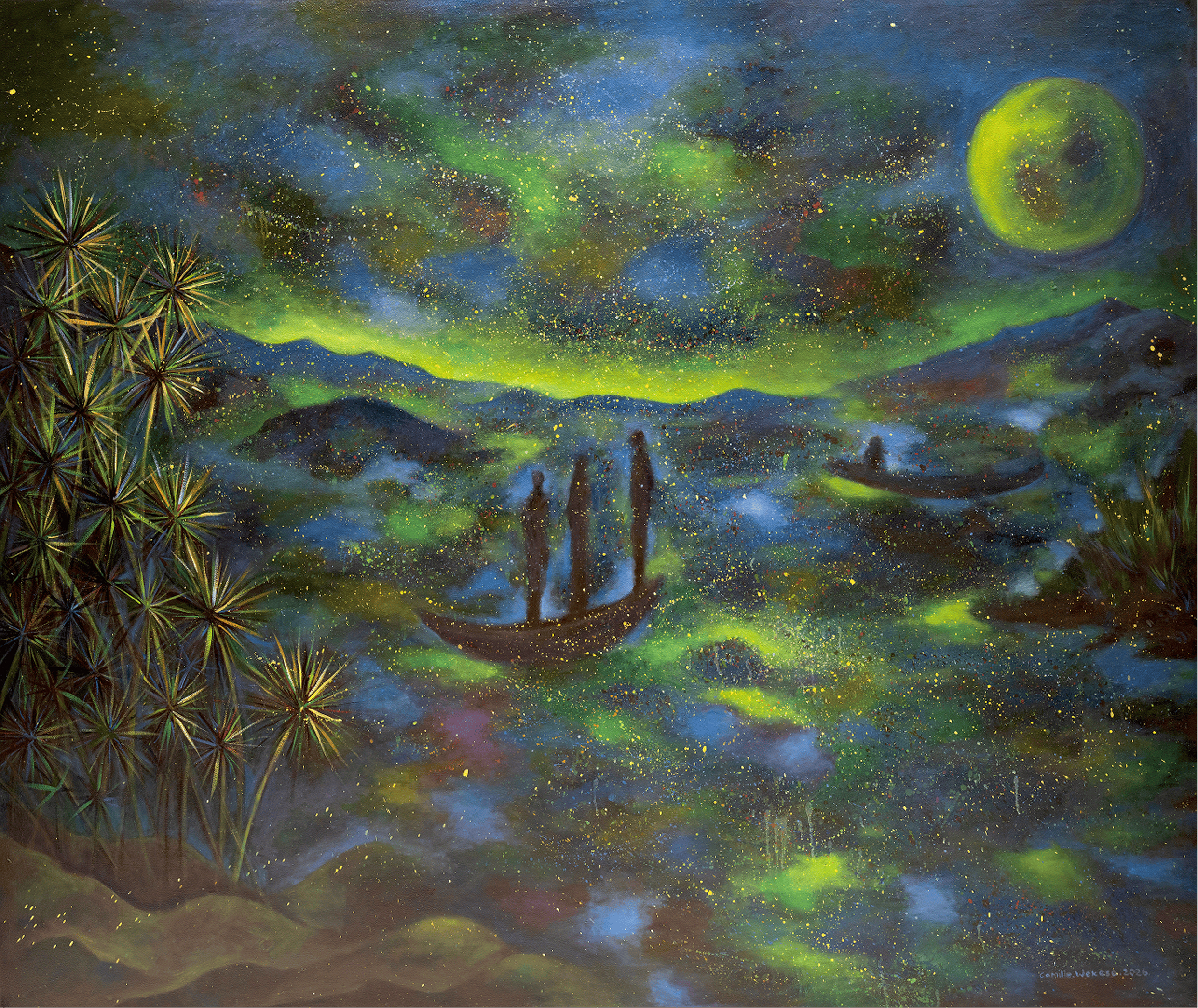 Starry night at Yala swamp Lake Victoria